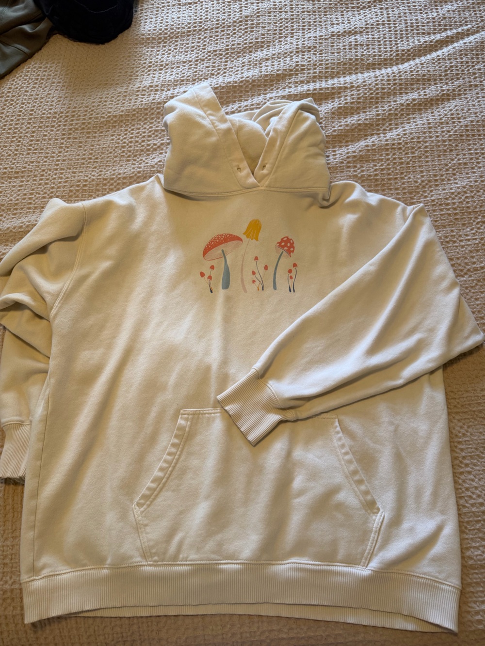 American Eagle Outfitters Cream Hoodie with Multicolor Mushroom Print